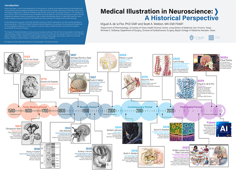 Medical Illustration in Neuroscience